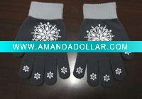 Wholesale lady winter gloves