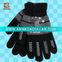 Wholesale winter gloves,women's winter gloves,ladies gloves NLKG(222)