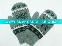 ski mitten