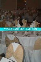 Wholesale poly chair cover