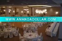 Wholesale poly chair cover