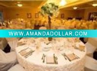 Wholesale poly chair cover
