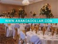 poly chair cover