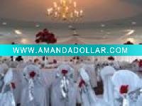 Wholesale poly chair cover