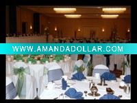 poly chair cover