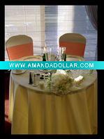 poly chair cover