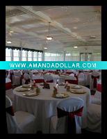 poly chair cover