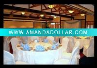 poly chair cover