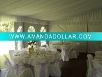 Wholesale poly chair cover