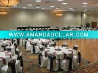 Wholesale poly chair cover