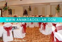 Wholesale poly chair cover