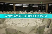 Wholesale poly chair cover