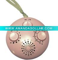 FM Shower Radio
