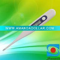 digital thermometer