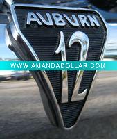 Plastic Car Emblem