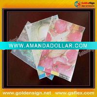 One Way Vision Vinyl Film