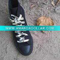 Shoelace