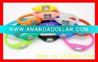 ion sports watch