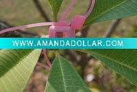 Wholesale necklate watch for children gift/gift watch