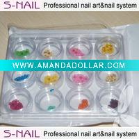 Wholesale nail art accessories/dry flower