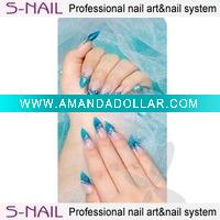 Professional salon nail tips