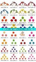 Wholesale dry flowers for nail art