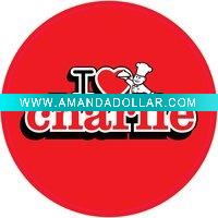 car body sticker,car vinyl stickers