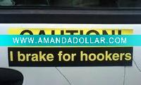 Car bumper sticker