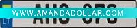 Wholesale car / auto license plate