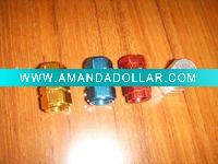 Wholesale auto tire valve cap manufacture in China