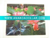 Car sticker/Skidproof Mat