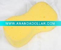car wash sponge