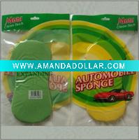 car wash sponge