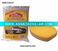 Car wash sponge