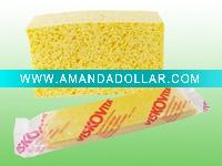 cleaning sponge