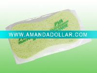 car sponge
