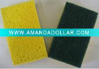car clean sponge