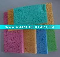 car sponge