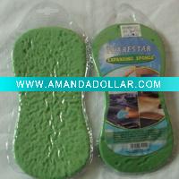 car sponge