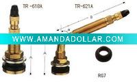 Wholesale truck tire valve(TR618A)