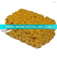 sponge