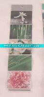 Wholesale pvc photo album