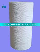 Paper Kitchen Towel