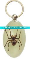 Wholesale New hot tattoo product--Real spider keychain