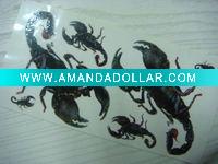 2011 scorpion tattoo sticker