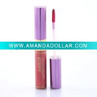 Lipgloss, Lip Stick, Lip Care