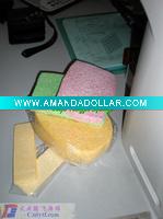 Wholesale the sponge growth in the water