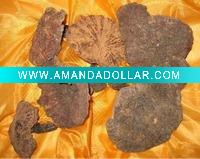 Ganoderma Lucidum Capsule--plant extract