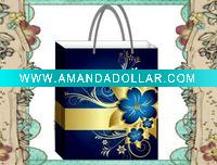 2011 Fashional gift bag