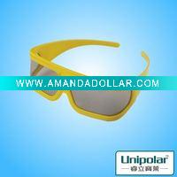 Linear Polarized Plastic 3d glass